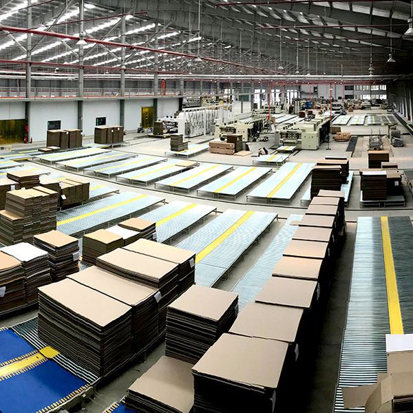 Corrugated Cardboard Conveying System