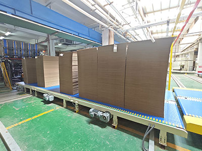 Modular Belt Conveyor